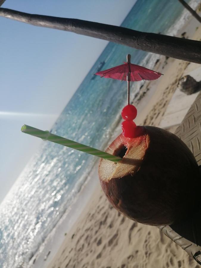 Playa Tortuga Cabana 布兰卡滩 外观 照片