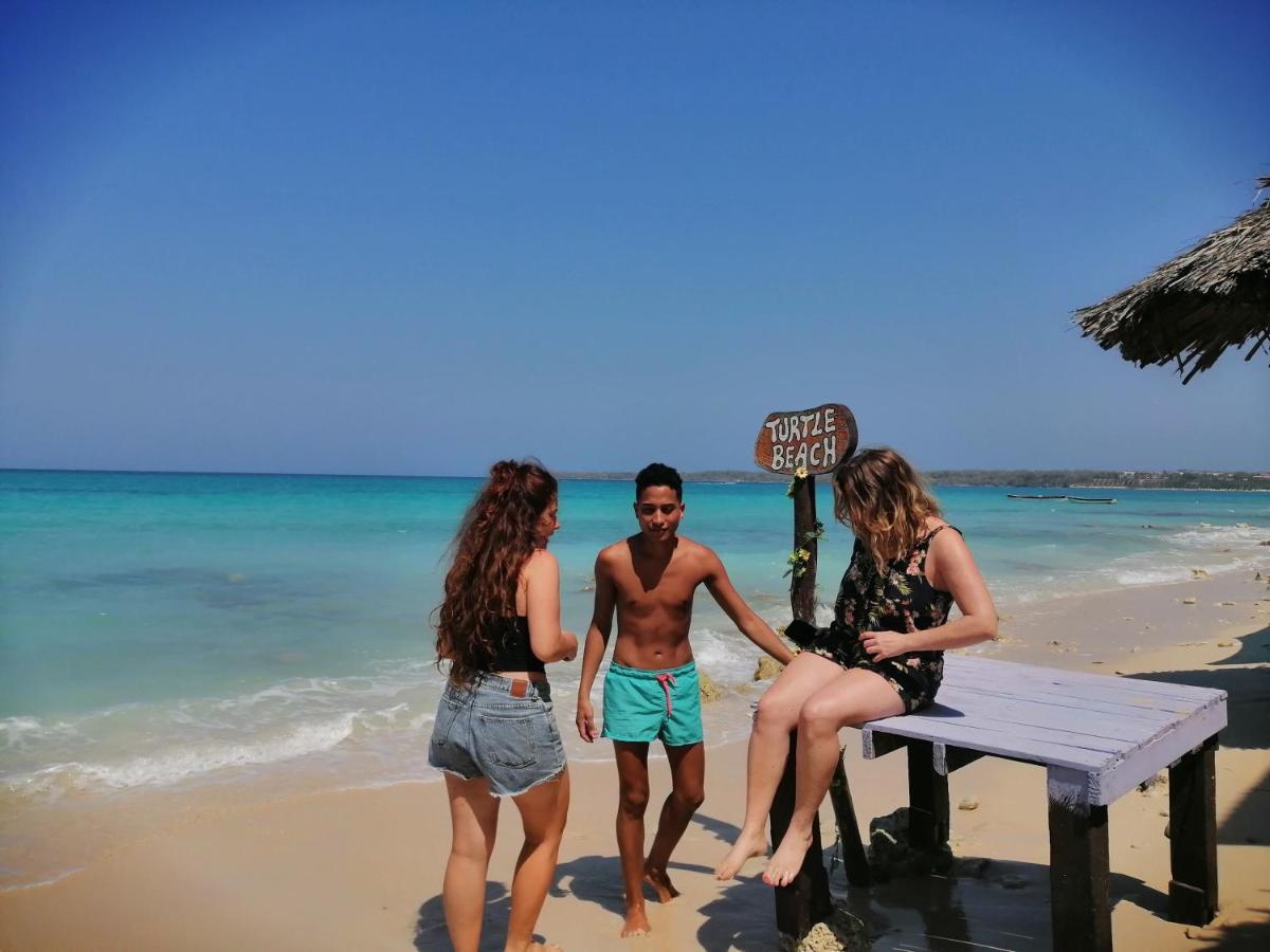 Playa Tortuga Cabana 布兰卡滩 外观 照片