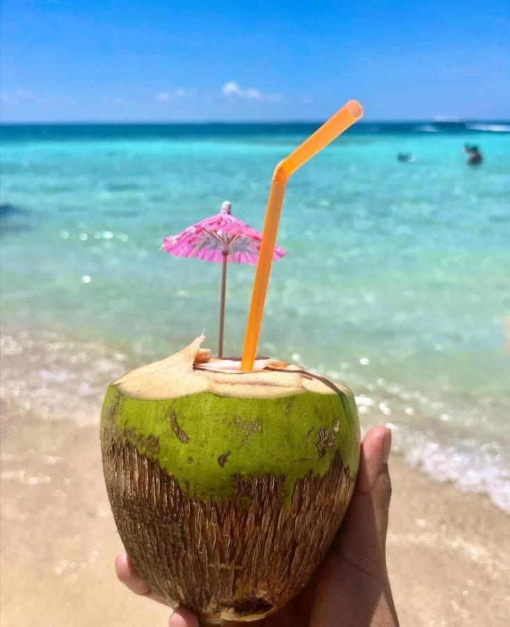 Playa Tortuga Cabana 布兰卡滩 外观 照片