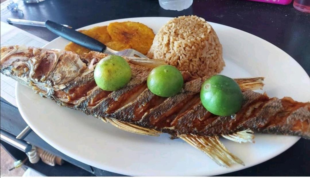 Playa Tortuga Cabana 布兰卡滩 外观 照片