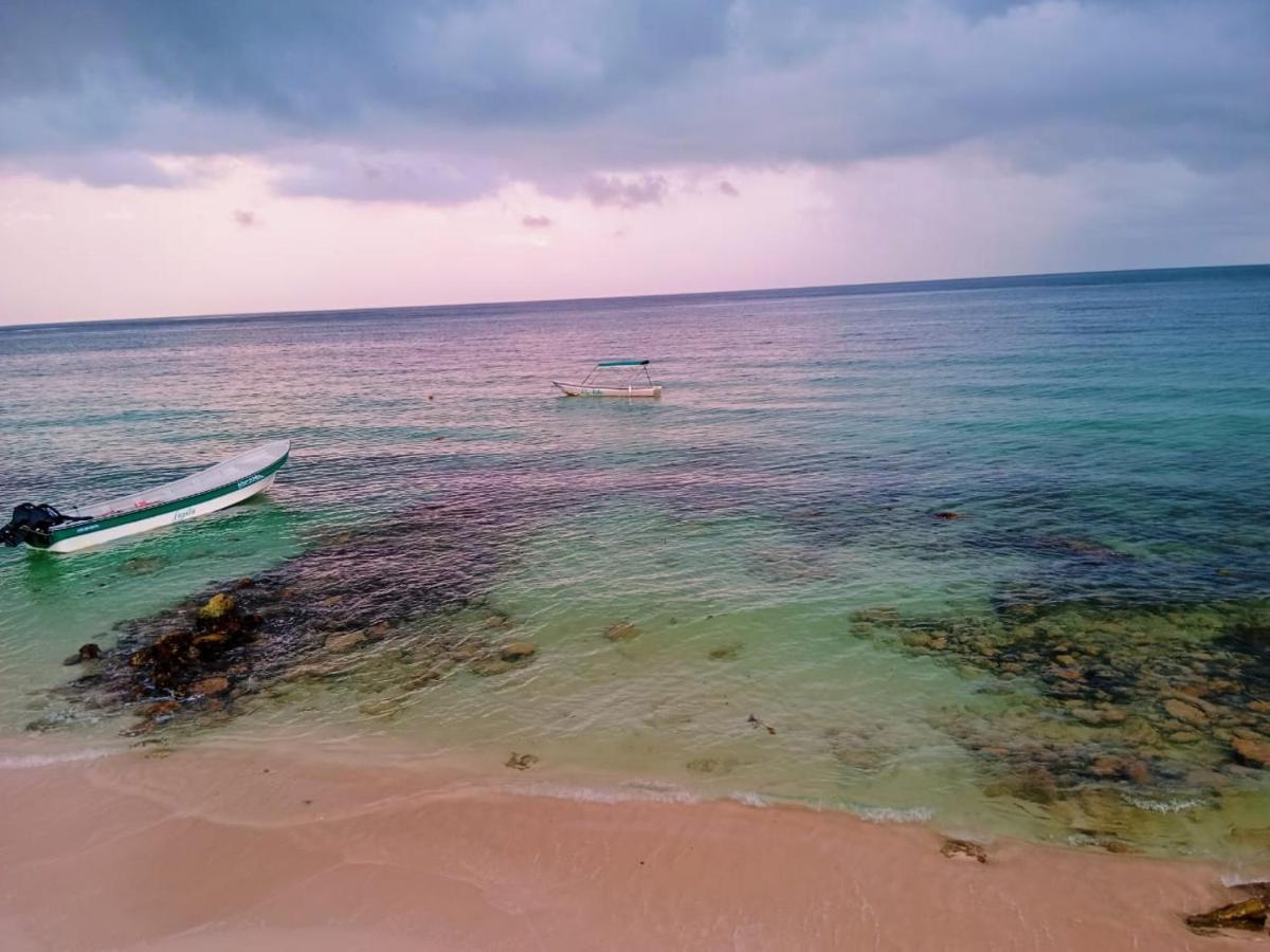 Playa Tortuga Cabana 布兰卡滩 外观 照片