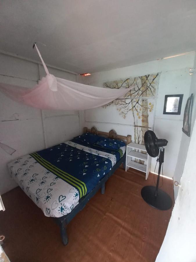 Playa Tortuga Cabana 布兰卡滩 外观 照片