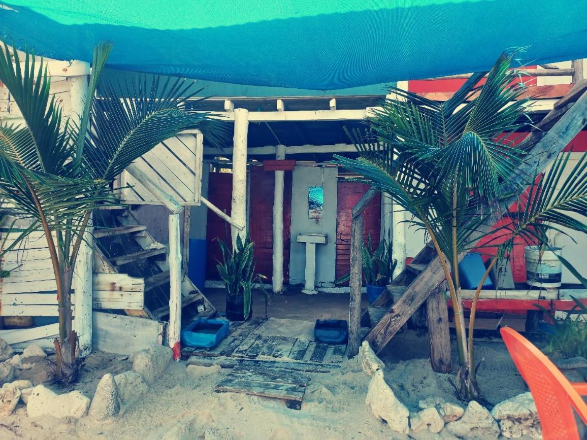 Playa Tortuga Cabana 布兰卡滩 外观 照片