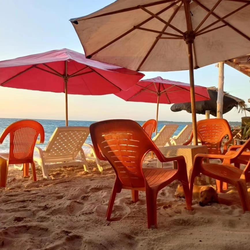 Playa Tortuga Cabana 布兰卡滩 外观 照片