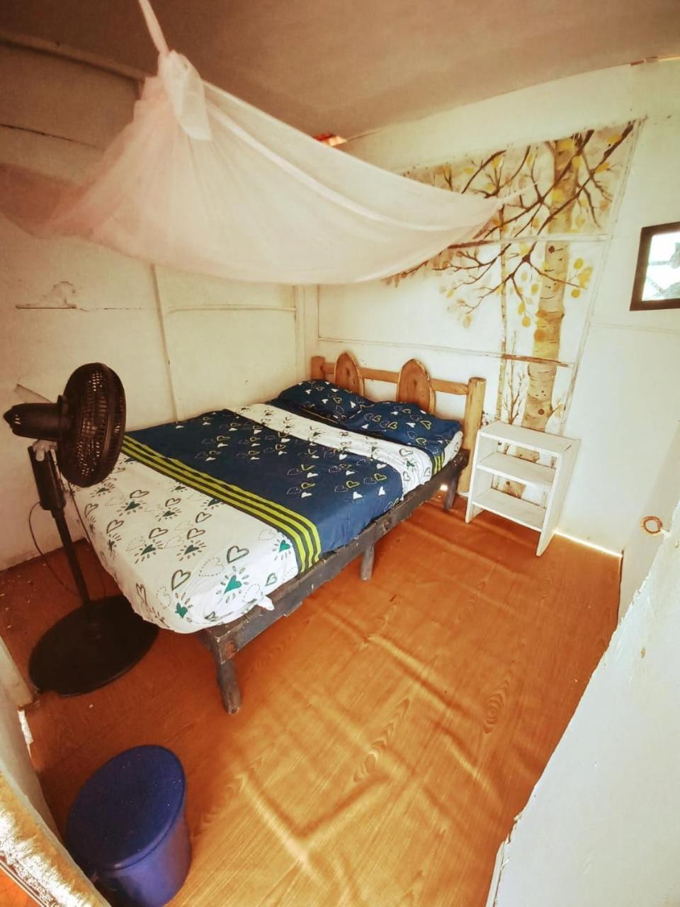 Playa Tortuga Cabana 布兰卡滩 外观 照片