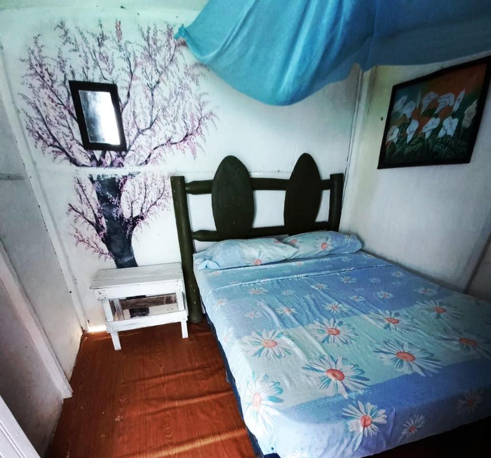 Playa Tortuga Cabana 布兰卡滩 外观 照片