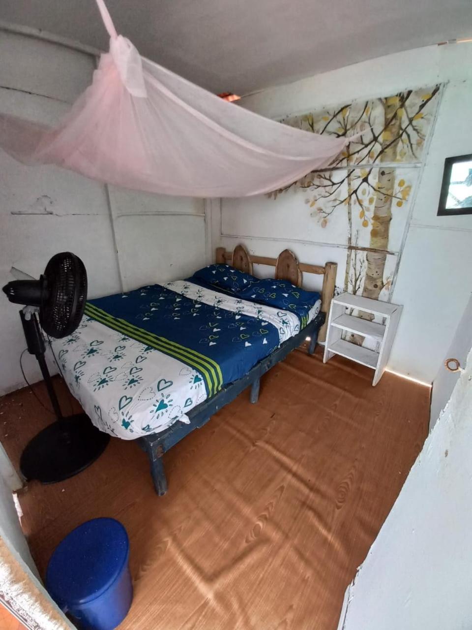 Playa Tortuga Cabana 布兰卡滩 外观 照片