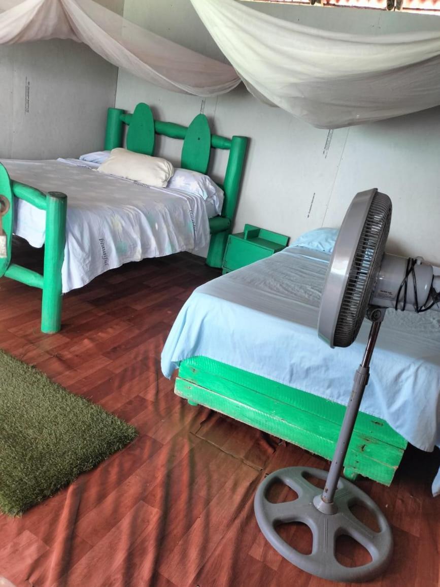 Playa Tortuga Cabana 布兰卡滩 客房 照片